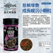 【HAQUOSS 義大利海酷】大型魚漂浮條狀顆粒 250ml(適用中大型雜食性慈鯛 魚飼料)