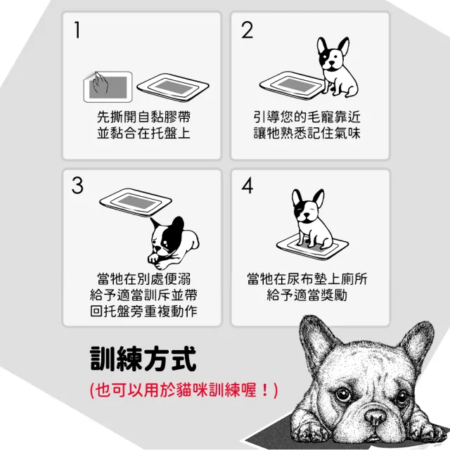 【Absorb Plus】狠消臭尿布墊_活性碳-三種尺寸(狗尿布/寵物尿布墊/寵物如廁/法鬥/法鬥尿布/寵物尿布)