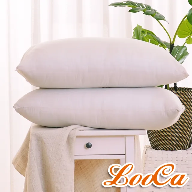 【LooCa】美國抗菌5cm高磅透氣輕便式床墊(單人3尺-送枕x1)