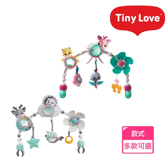 【Tiny Love】美國感統隨身健力架/健身架/健身器 - 拍拍款(多款可選)