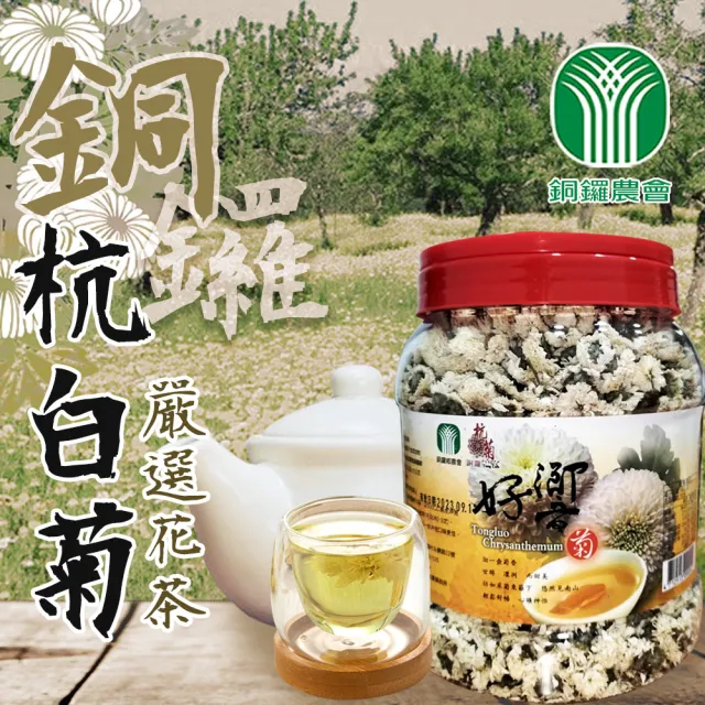 【農會】銅鑼鄉農會 好響 杭白菊150gX1罐
