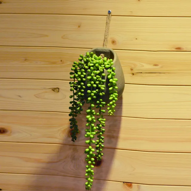【YU Living 信歐傢居】仿真垂掛式多肉植物裝飾盆栽(綠色/人造盆栽 園藝花卉 室內裝飾)