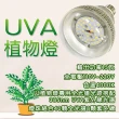 【JIUNPEY 君沛】15W 紫外線UV全光譜 E27植物燈泡(植物生長燈)