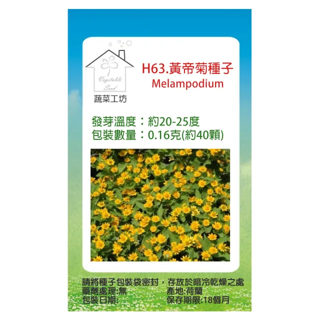 【蔬菜工坊】H63.黃帝菊種子(金星)