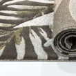 【范登伯格】歐斯特 叢林系地毯-鸚鵡(80x150cm/共二色)