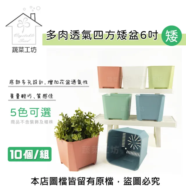 【蔬菜工坊】多肉透氣四方矮盆6吋-矮-  10個/組(共5色可選)