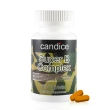 【Candice 康迪斯】複方維生素B-50錠/超級維他命B群(60顆*2瓶)