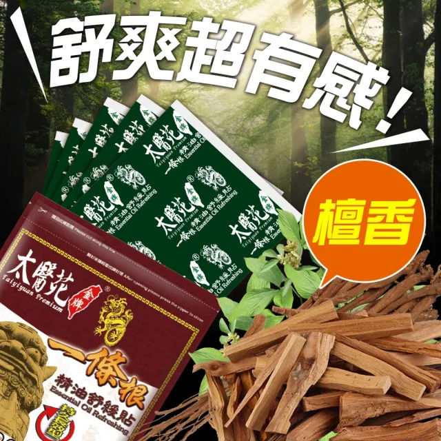 【Tai Yi Yuan Premium 太醫苑金牌】金門一條根精油舒緩貼-12包贈1包共65片入(超大片-檀香舒緩)