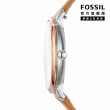 【FOSSIL 官方旗艦館】Jacqueline 經典藍面羅馬數字女錶 棕色真皮錶帶 指針手錶 36MM ES4274