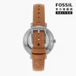 【FOSSIL 官方旗艦館】Jacqueline 經典藍面羅馬數字女錶 棕色真皮錶帶 指針手錶 36MM ES4274
