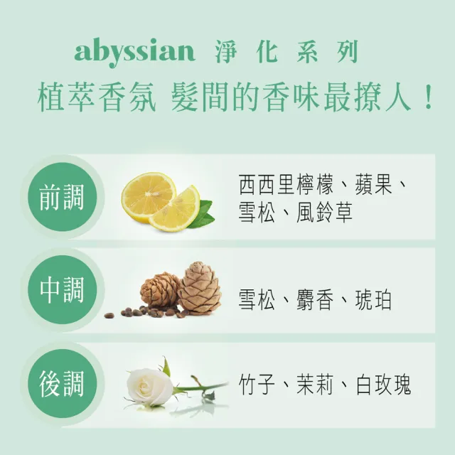 【Abyssian】雅蓓絲 螺旋藻抗污染護髮素(500ml)