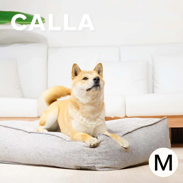 【Alpha】CALLA 懶骨頭沙發寵物睡床 灰色 M號(可拆洗寵物睡床 狗睡床)