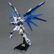 【BANDAI 萬代】MG 1/100 FREEDOM Ver 2.0 自由鋼彈(萬代模型 模型玩具 組裝模型 鋼彈模型)