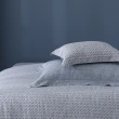 【IN-HOUSE】400織紗棉天絲兩用被床包組-紳士之境(特大)