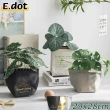 【E.dot】環保時尚多功能盆栽牛皮紙袋/花卉裝飾