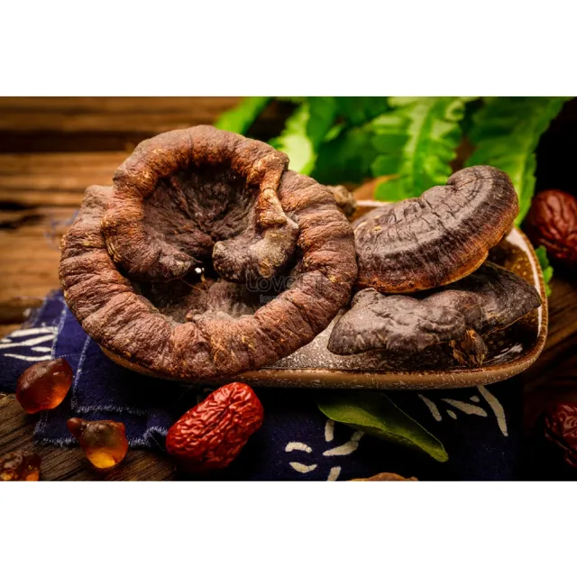 【亞源泉】特級野生紫靈芝500g 2包(贈亞源泉系列商品2包)