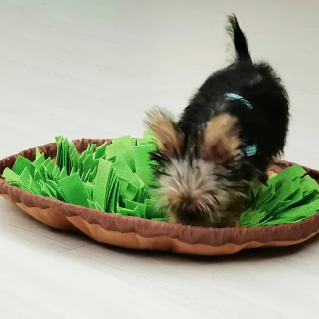 【May shop】亞馬遜款寵物嗅聞墊子 防噎食寵物碗 狗狗貓咪消耗精力慢食益智毯