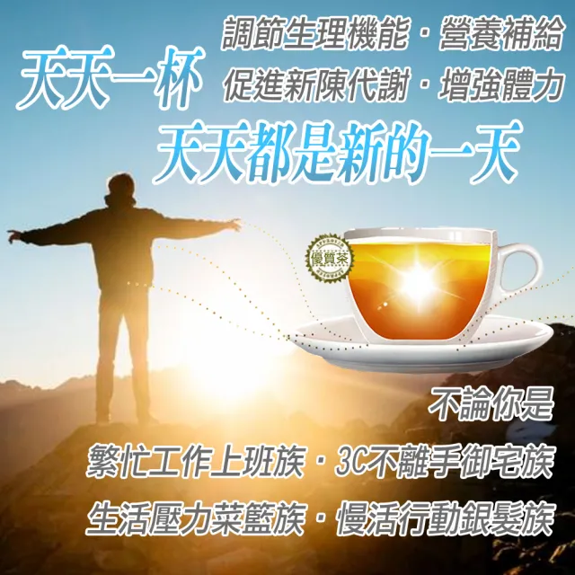 【蔘大王】黃耆安迪茶包X6組（6gX10入/組）長效期版(黃耆紅棗枸杞茶包 調整體質 增強體力)