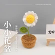 【小花花】盆栽花毛線DIY材料包(附工具 居家 裝飾 擺飾 美勞 勞作 手作 編織)