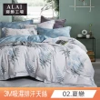 【ALAI 寢飾工場】台灣製 萊賽爾天絲枕套床包組(特大6*7尺/吸濕排汗)