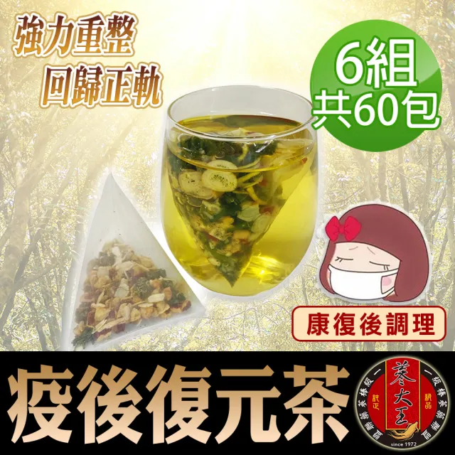 【蔘大王】疫後復元茶包X6組（6gX10入/組）長效期版(回歸正軌重整生活 大補元氣揮別蒼白 漢方無添加)