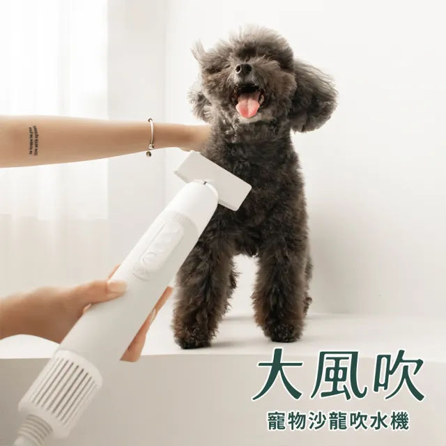 【uah有哈】大風吹-寵物沙龍吹水機/吹風機 狗狗吹毛 寵物吹乾快乾 寵物美容吹毛機