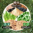 【Mr.INCENSE 好香先生】蚊香 艾草蚊香 純天然艾草香茅薰香5盒(艾草薰香 蚊香盒 天然蚊香 蚊香環)