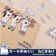 【Kusuguru Japan】日本眼鏡貓NEKOMARUKE貓丸系列乾濕兩用紗布毛巾