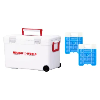 【SHINWA 伸和】日本製冰箱 22L Holiday World 硬式白色冰箱(戶外 露營 釣魚 保冷 冰箱 烤肉 冰桶 贈冰磚)