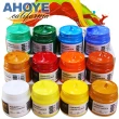 【AHOYE】安全無毒壓克力顏料 常用12色-100mL-檢定考試專用(廣告顏料)