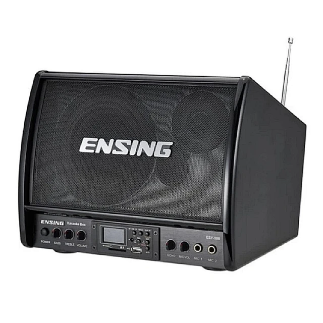 【ENSING 燕聲】ESY-500W 卡拉OK小音響(含無線麥克風x1隻)
