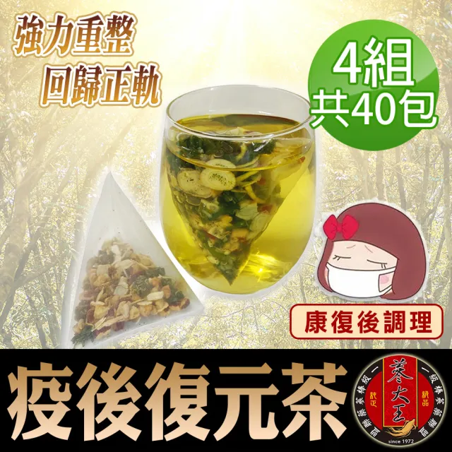 【蔘大王】疫後復元茶包X4組(6gX10入/組)(回歸正軌重整生活 大補元氣揮別蒼白 純道地漢方無添加)