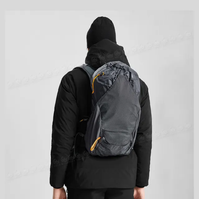 The north sale face 20l