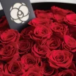 【CNFlower 西恩】奢華送禮 60朵純紅玫瑰花束(送禮/買花/花禮/鮮花/求婚/驚喜/奢華)