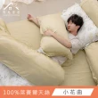 【青鳥家居】頂級LF天絲床包枕套組/雙人(60天絲床包+枕套/多款任選)