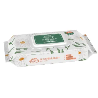 【安親】加大抑菌柔護濕巾 加蓋一般型(70抽x24包/箱)