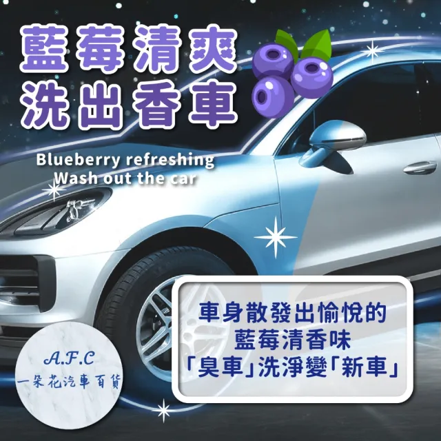 【一朵花汽車百貨】洗車水蠟 洗車精 十入組 濃縮洗車精 洗車劑 洗車清潔 機車清潔 汽車美容 高泡沫 高濃縮