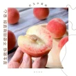 【果語老師】紅玉水蜜桃產地直銷高級禮盒(中果10入1.8台斤±10%)