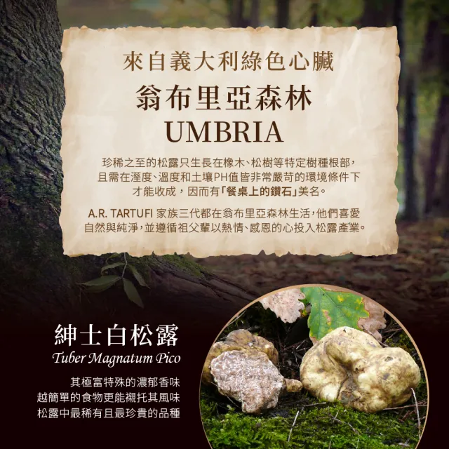 A.R艾儞皇 頂級牛肝菌松露奶醬80g(義大利直送 100%整顆新鮮松露製成)
