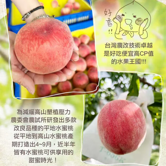 【享吃鮮果】台灣鮮採水蜜桃2箱(8入裝/1kg±10%/箱)