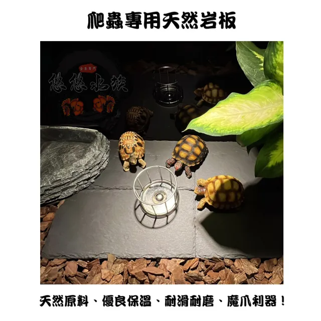 【YOYO 悠悠水族】爬蟲專用天然岩板_中號_二入組(兩棲爬蟲、爬蟲用品、陸龜用品、鸚鵡用品、寵物躲藏)