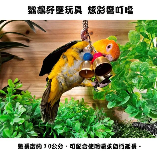【YOYO 悠悠水族】炫彩響叮噹_三串組(鳥用品、鳥玩具、鸚鵡用品、鸚鵡玩具)