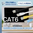 【POLYWELL】CAT6 高速網路傳輸扁線 /0.3M
