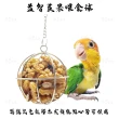 【YOYO 悠悠水族】益智蔬果餵食球_三入組(鳥用品、鳥玩具、鸚鵡用品、鸚鵡玩具)