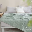 【HOYACASA】莫代爾針織涼感涼被-森林綠(單人150×210cm)