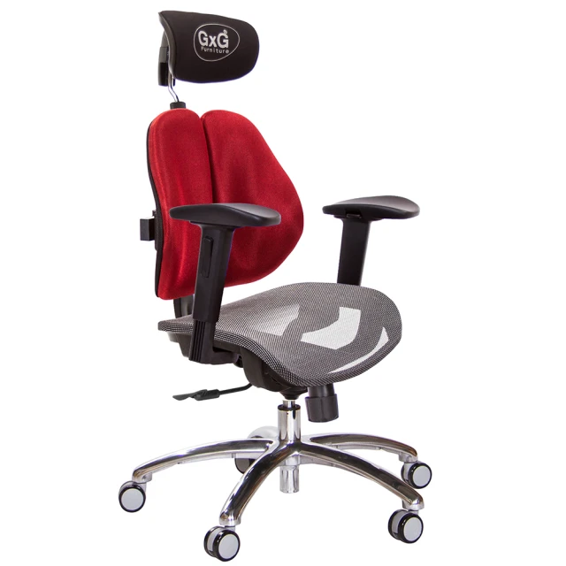 【GXG 吉加吉】雙軸枕 中灰網座  鋁腳/2D滑面升降扶手 雙背電腦椅(TW-2704 LUA2J)