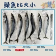 【一手鮮貨】挪威無鹽整尾鯖魚(4尾組/單尾500g-550g)