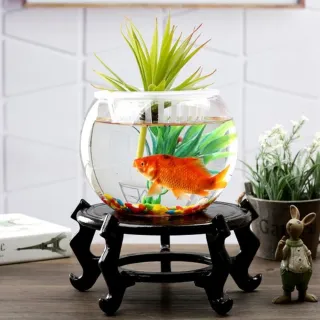 【JEN】透明玻璃圓形花瓶花器魚缸高18cm口徑13.5cm肚徑23cm
