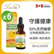 【Lovita 愛維他】加拿大蜂膠滴液50% 6入組(共180ml;18%生物類黃酮)