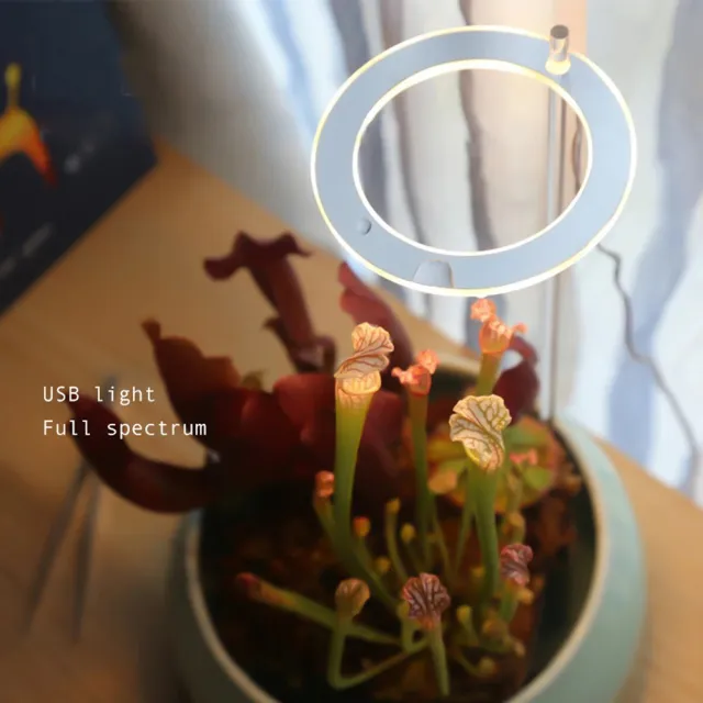 【東京 Ito】1頭 LED 植物生長燈(太陽光 USB 魚缸 室內種植 多肉植物)